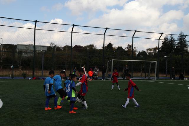 德转更新英超球员身价 麦卡利斯特飙升至8000万欧